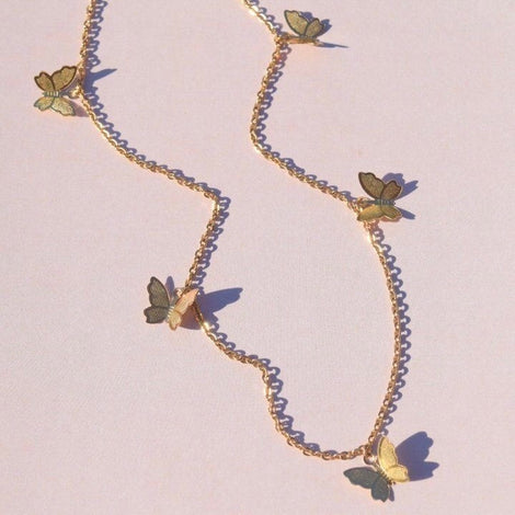 Collares Cadena de acero inoxidable 1.