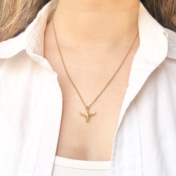 Collar Toro.